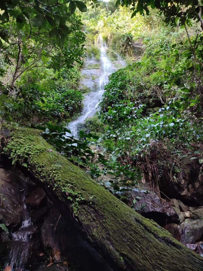 Maison Au Calme Dans La Nature Kpalimé Esterno foto